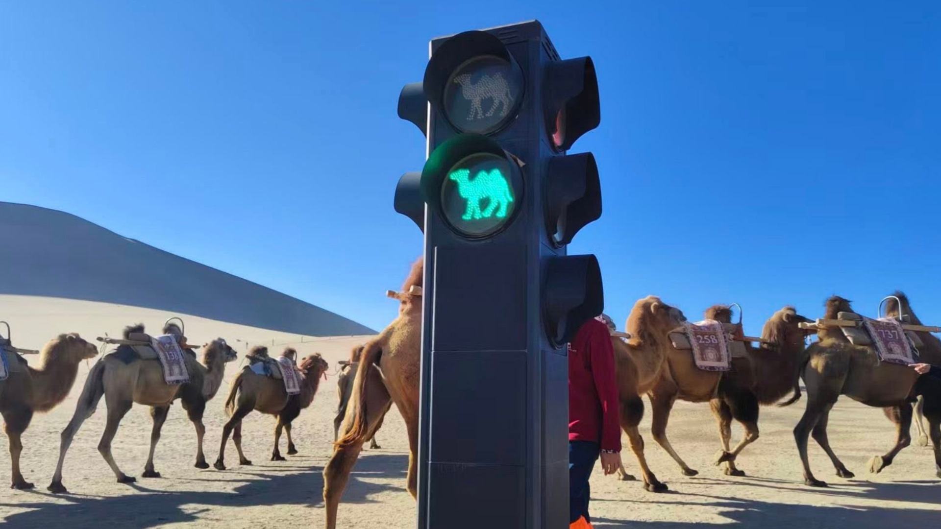 甘肅青海10日遊——甘青奇幻美景與邊塞雄關光影之旅，青海湖、茶卡鹽湖、水上雅丹、東台吉乃爾湖、玉門關、嘉峪關、祁連山大草原